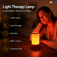Meilleure Vente Vente Directe Usine Lampe Thérapeutique SAD 4 Modes d'Éclairage 12W Tactile Dimmable Minuterie Automatique Recharge USB-C CE FCC RoHS