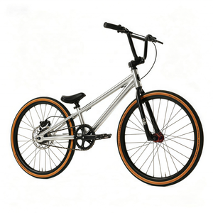 24 Inch <strong>BMX</strong> Cruiser Freestyle Bike Steel Frame Single Speed Disc Brake Aluminum Rim Double Wall <strong>Wheels</strong> <strong>Big</strong> <strong>Wheel</strong> Street Bicycle - Product Image 1