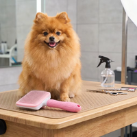 Brosse démêlante professionnelle multifonctionnelle pour animaux de compagnie, en forme d'arc, pour l'élimination des poils et le massage, avec aiguilles fines en ABS