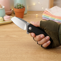 Couteau de poche multifonctionnel de petite taille en acier D2 avec manche en alliage de titane pour le camping, la chasse, le bricolage, les activités de plein air, OEM