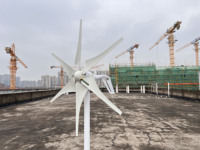 Éolienne à la mode supérieure 48v lame d'éolienne 1000w énergie renouvelable 12/24v 800w éolienne moulin à vent