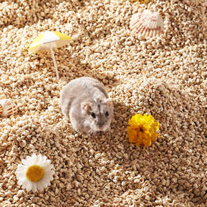 Bucatstate commercio all'ingrosso di piccoli animali forniture per la decorazione criceto naturale pannocchia di mais commestibile biancheria da letto - Product Image 2