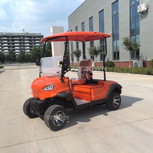 Carrito de Golf Eléctrico de 2 Plazas, con Batería de Litio, de Baja Velocidad, para Clubes y Zonas Turísticas - Product Image 6
