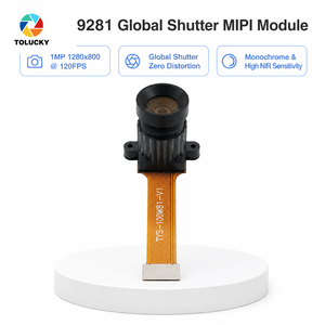 Module de caméra MIPI personnalisé 1MP OV9281 à obturateur global 120FPS Monochrome FPC Fabricant OEM ODM pour la vision industrielle embarquée - Product Image 4