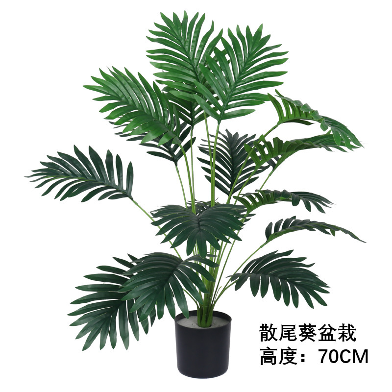 Planta de palma de areca en maceta