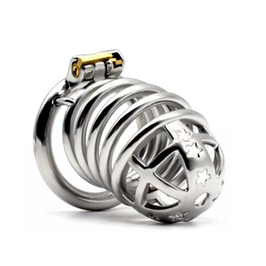 FRRK-68 Jaula de Castidad Masculina de 10 cm, Dispositivo de Abstinencia, Jaula de Castidad BDSM, Candado para Pene, Herramientas Sexuales, Candado de Castidad para Hombres Adultos - Product Image 3