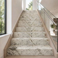Grande dalle de granit Alpinus naturel poli pour plan de travail de cuisine, meuble-lavabo de salle de bain, revêtement mural, carrelage de sol