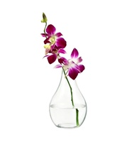 Jarrón de Vidrio Transparente en Forma de Gota, Hecho a Mano con Vidrio Borosilicato, Terrario de Vidrio Transparente para Decoración del Hogar y Bodas
