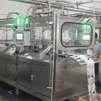 Grote Capaciteit Doos In Zak Fruit Pulp Pasta Jam Melk Aluminiumfolie Zak Aseptische Vulmachine