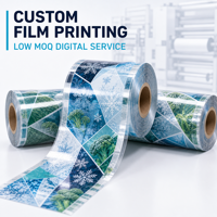 Servizio di Stampa Digitale Personalizzata su Film Plastico per Alimenti Congelati, Rotoli Laminati in PET PA PE con Logo Personalizzato, Basso MOQ