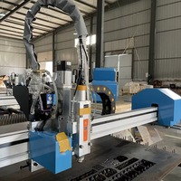 Machine de découpe plasma CNC à portique portable haute précision 2000W et découpe à la flamme pour usage industriel, modèles 4020 2000*4000mm
