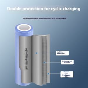 Longyun Fuge Zhipu 12V perceuse sans fil 18650 batterie au Lithium variable main électrique outils électriques universels utilisation industrielle - Product Image 4