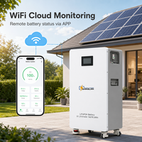 Batterie LiFePO4 16 kWh 51,2 V 314 Ah, 8000 cycles, système ESS domestique sur pied avec roulettes, supporte l'extension parallèle