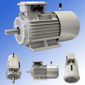 Gexin มอเตอร์เบรก15KW YEJ-160M2-2กระแสสลับสามเฟสแบบอะซิงโครนัส100% สายทองแดงป้องกัน IP55ประสิทธิภาพ IE3 - Product Image 2