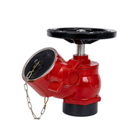 Hydrant d'incendie à colonne à corps humide Taikong type britannique BS750 DN100, sortie 2 voies, en acier inoxydable et fonte ductile, rouge, classe 1.6Mpa