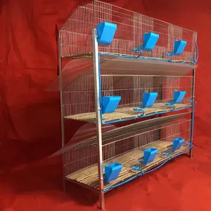 Cage d'élevage de lapins en métal commercial de bonne qualité pour l'Afrique du Sud