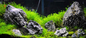 <span class=keywords><strong>Acquario</strong></span> in <span class=keywords><strong>vetro</strong></span> Ultra trasparente da 66 galloni grande <span class=keywords><strong>acquario</strong></span> di cristallo per allevamento di coralli, Aquascaping e visualizzazione di <span class=keywords><strong>pesci</strong></span> Premium - Product Image 3