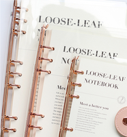 Carnet de notes A5 en PVC, spirale simple, couverture transparente rose doré, 90 feuilles