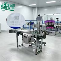 Machine de marquage laser UV entièrement automatique avec module d'alimentation par séparation pour le codage par lots des sacs en film plastique