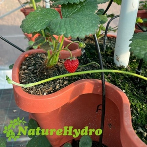 Jardinières verticales en plastique pour extérieur Jardinière empilable pour jardin Pots de fleurs Pot vertical pour fraises Pot de plantation pour fraises - Product Image 6