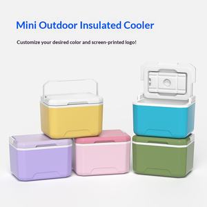 5 एल पी सामग्री आधुनिक इनक्यूबेटर आइस रेफ्रिजरेटर घरेलू कार आउटडोर शिविर के लिए पोर्टेबल मिनी - Product Image 1