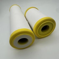 Noyau de filtre à eau en céramique microporeuse 0,1-0,2 μm, 10 pouces, en diatomite poreuse, accessoires pour purificateur d'eau de robinet de cuisine