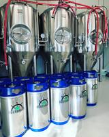 Fermentng équipement processus produit conial fermenteur 300L 600L avec isolation pour brasserie