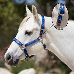 Licol de cheval équestre professionnel avec corde de plomb personnalisable collier de tête Durable confortable équipement de haute qualité en gros - Product Image 5
