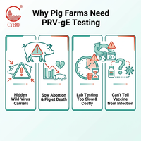 Kit de test rapide d'anticorps gE du virus de la pseudorabie porcine (PRV-gE Ab) à l'or colloïdal, diagnostic vétérinaire PRV pour porcs, 1 ou 25 tests