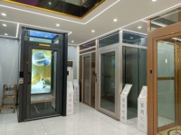 Düşük fiyat 320KG 4 kişi yolcu panoramik ev Villa ev için asansör kapsül asansör