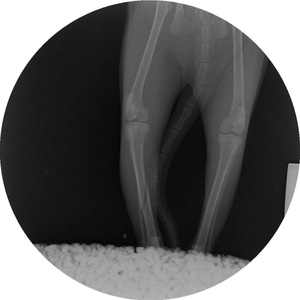 جهاز الأشعة السينية بمستشفى بيطري بسعر جيد, جهاز فحص الأشعة الإشعاعية سي للذراع - Product Image 3