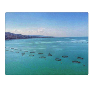 Redes de pesca a la venta, jaula para cultivo de peces, Hapa Tilapia Raschel, red de pesca, protector de peces flotante, jaula de red para acuicultura, resistente al azul - Product Image 4