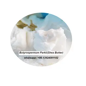 Hochwertige Butyrospermum Parkii Shea Butter CAS 194043-92-0 SB 45 kosmetische Rohstoffe für Hautpflege produkte