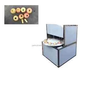 Machine automatique de dénoyautage d'olives de type table pour la groseille à maquereau indienne