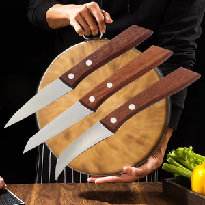 Set di 3 Coltelli da Intaglio in Acciaio Inox con Lame Diversificate per Bistecca, Verdure, Frutta, Manico in Legno per Arti Culinare - Product Image 2