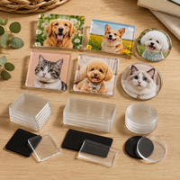 Aimant de réfrigérateur en acrylique transparent durable avec impression d'animaux de dessin animé OEM, idéal pour la décoration de la maison, de la cuisine, de l'école ou des casiers.