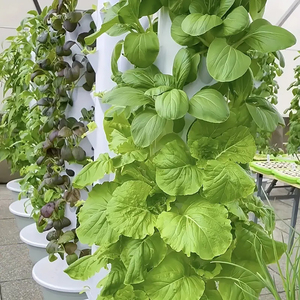 <span class=keywords><strong>Maceta</strong></span> de Torre hidropónica de 13 capas para lechuga y hierbas, sistema de jardinería <span class=keywords><strong>vertical</strong></span> sin suelo - Product Image 5