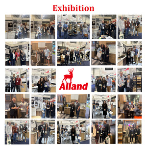 Sistema Modulare per Camera da Letto Alland, Scaffale <span class=keywords><strong>con</strong></span> Cassetti, Organizzatore in Legno, Design per <span class=keywords><strong>Armadio</strong></span> Piccolo <span class=keywords><strong>con</strong></span> Specchio - Product Image 6