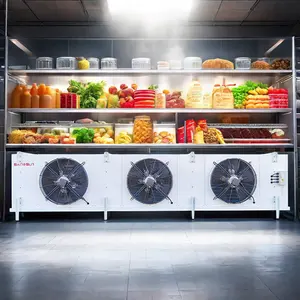 모터 및 PLC 핵심 부품을 장착한 제조 공장 및 농장용 수냉식 냉각기용 신형 전기 무당뇨병 냉각기