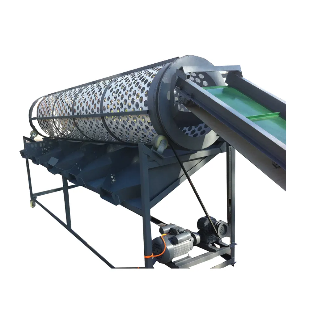 6 Levels garlic & separated garlic sorting/sorter of garlic clove with feed conveyor