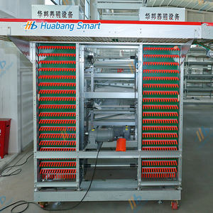 Équipement d'élevage avicole, collecte automatique des œufs, cages à poules en batterie pour la ponte - Product Image 3