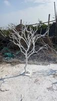 Künstlicher Trockener Baumzweig für Hochzeitsdekoration Realistisches Ausgefallenes Design Schmuckbaum mit Trockenem Baumholz