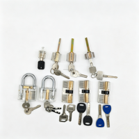 Ensemble de serrures à empreintes digitales en acier inoxydable transparent anti-rouille de qualité supérieure, 8 et 9 pièces, outils d'entraînement pour débutants