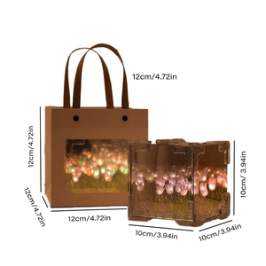 Kit <span class=keywords><strong>de</strong></span> Manualidades DIY <span class=keywords><strong>de</strong></span> Cubos <span class=keywords><strong>de</strong></span> Acrílico con Diseño <span class=keywords><strong>de</strong></span> Campo <span class=keywords><strong>de</strong></span> Tulipanes, Estilo Moderno y Minimalista, Decoración Ambiental, Regalo para el Día <span class=keywords><strong>de</strong></span> San Valentín, Venta al Por Mayor <span class=keywords><strong>de</strong></span> Fábrica - Product Image 6