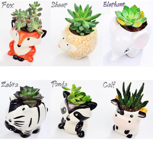 Cartone animato a forma di piccolo succulento vaso di pianta d'aria titolare Mini animale fioriera foro di drenaggio Airplants Tillandsia titolare per Mini pianta - Product Image 5