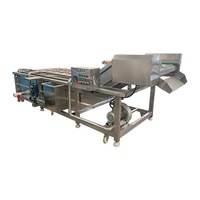 Línea de Procesamiento de Patas de Pollo Eléctrica / Máquina de Lavado de Patas de Pollo / Máquina de Limpieza de Patas de Pollo