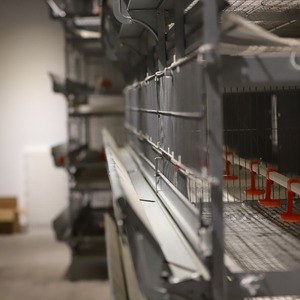 Nouveau type d'équipement de cage à œufs pour l'élevage de poulets Cages à poulets durables et robustes Spécifications et tailles sélectionnables - Product Image 6