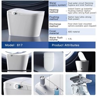 Inodoro Inteligente con Bidé, Sistema de Filtración Doble, Secado con Aire Caliente, Enchufe Personalizado para Proyectos Hoteleros