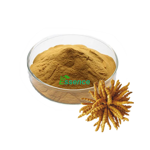 Natürlicher tibetischer Cordy ceps Sinensis P.E. 30% 50% Polysaccharide Cordy ceps Sinensis Kapsel Cordy ceps Sinensis Extrakt pulver - Product Image 4