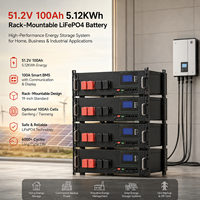 Baterai LiFePO4 51.2V 100Ah 5.12kWh untuk Rak Server, Penyimpanan Energi Surya dengan Smart BMS CAN RS485 OEM ODM